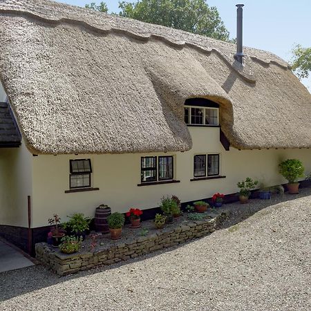 The Cottage Richards Castle Exterior foto